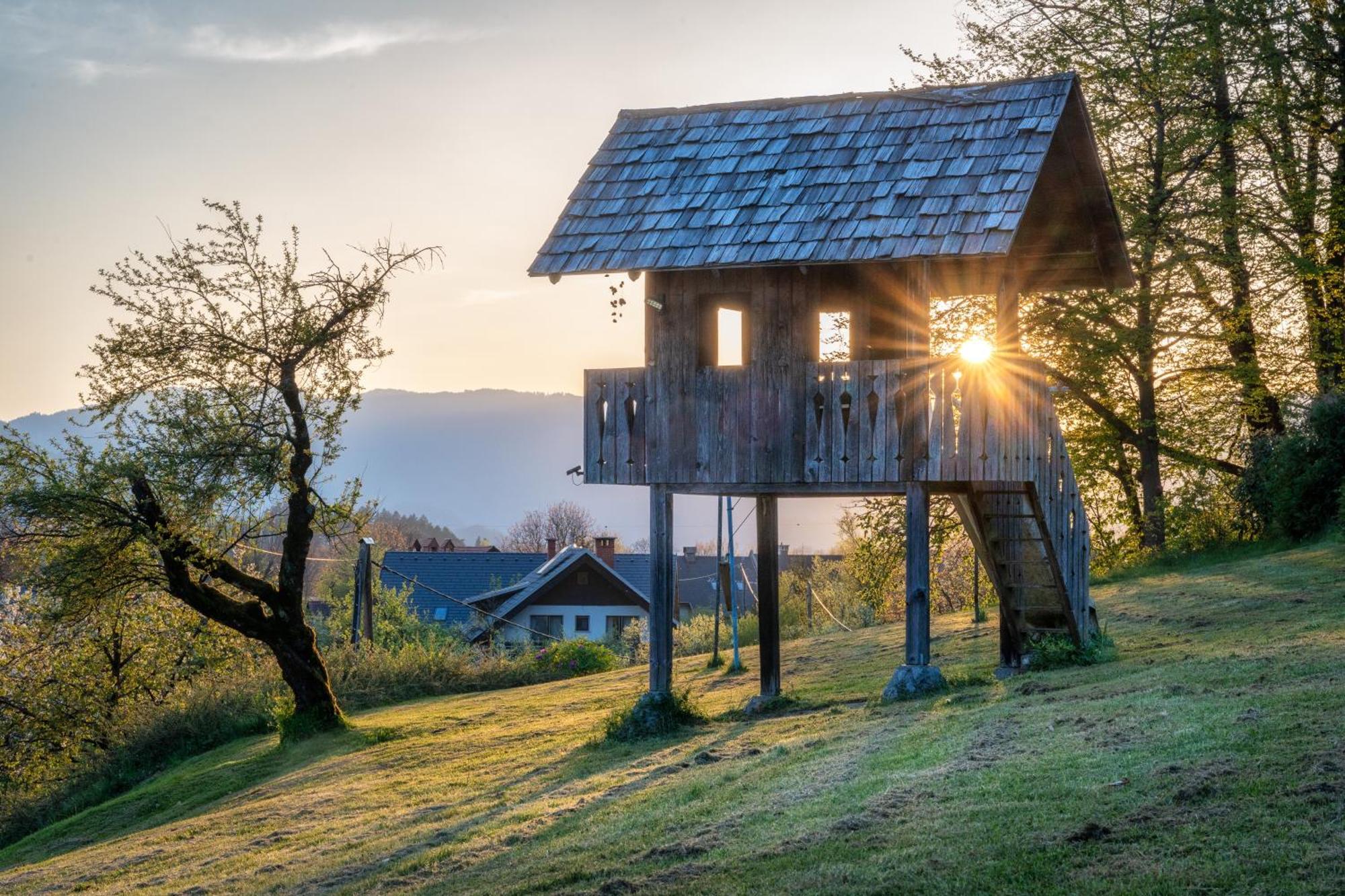 Appartement Stara Soncna Hisa à Radovljica Extérieur photo